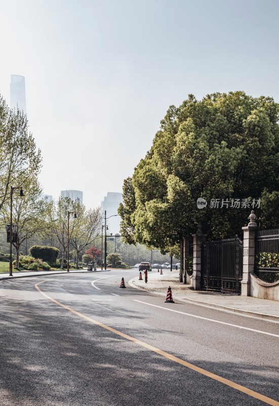 城市街道绿树与道路景观