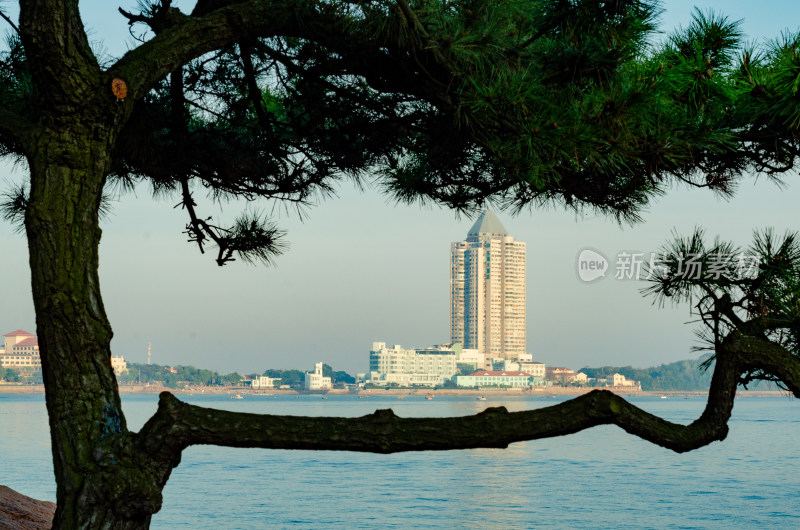 山东青岛城市海滨风光