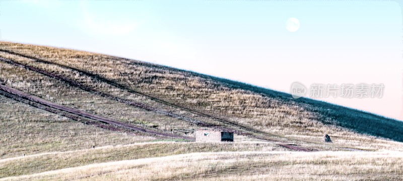 田野山坡上的孤树风景