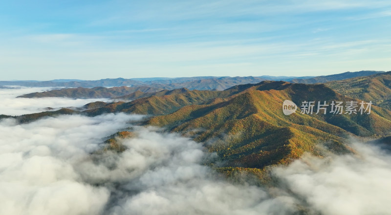 秋季金色山林与云海