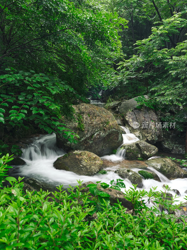 雨季安吉山间竹林水流瀑布