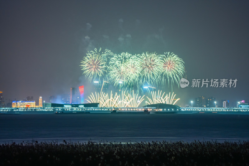 新年夜空中绽放的烟火