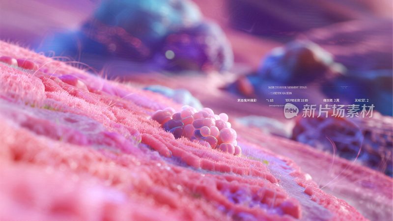 微观细胞动画素材