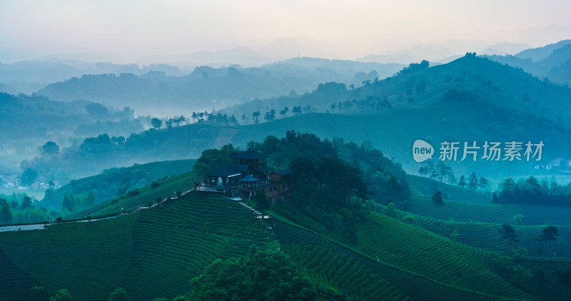 茶园茶山美丽乡村