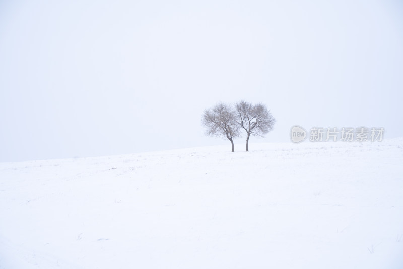 内蒙古坝上冬季风光
