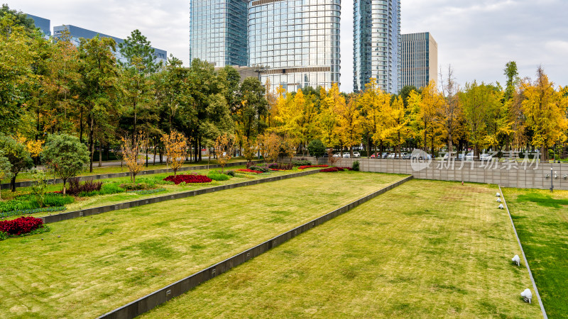 四川省成都市城区秋天的色彩