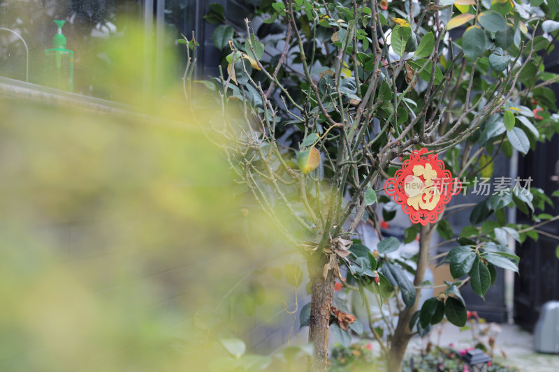 中国春节装饰福字
