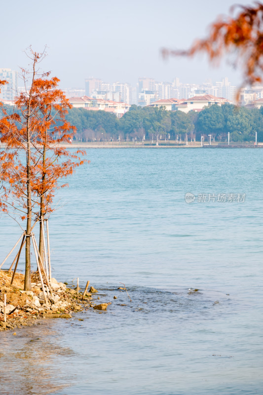 江苏苏州金鸡湖景区桃花岛风景