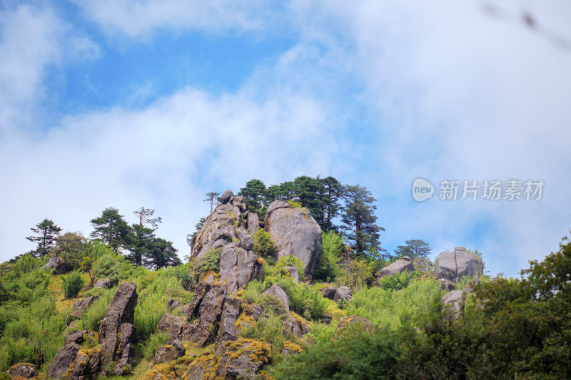 山间岩石与树木相映成趣的自然景致