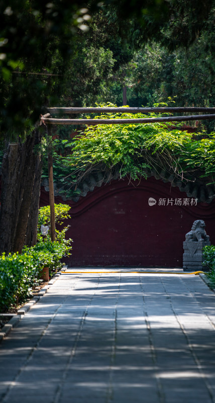 洛阳白马寺齐云塔院佛教文化景点景观