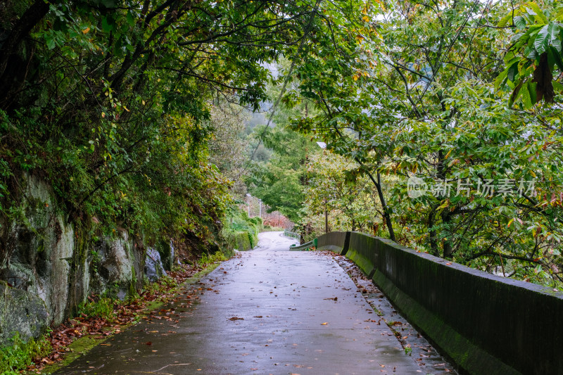 汉中留坝火烧店镇秦岭深处的山中小路