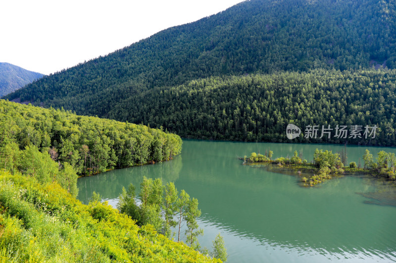 新疆阿勒泰喀纳斯卧龙湾森林河流自然风光