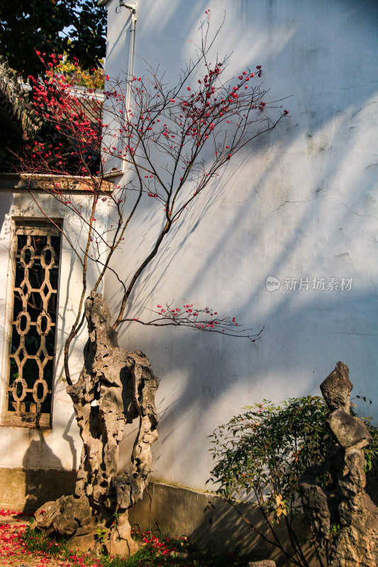 南京总统府景区建筑