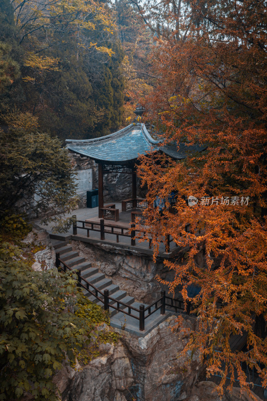 北京植物园樱桃沟水杉栈道