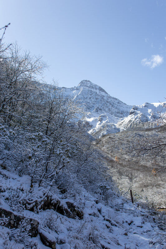 四川阿坝州黄龙景区冬日雪山胜景