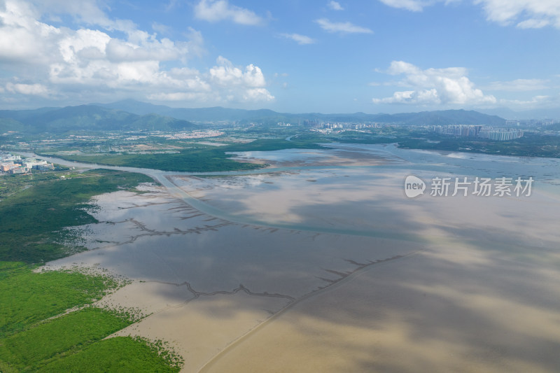 深圳福田红树林保护区