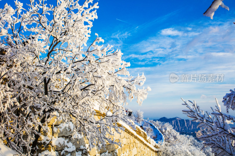 长成雪后冬季风光