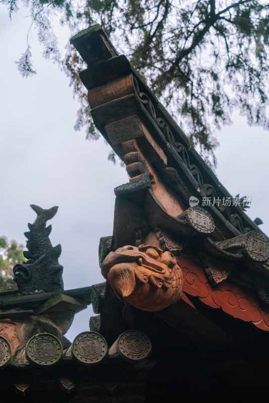 云南旅游大理洱海蒙自弥勒建水元阳梯田景区