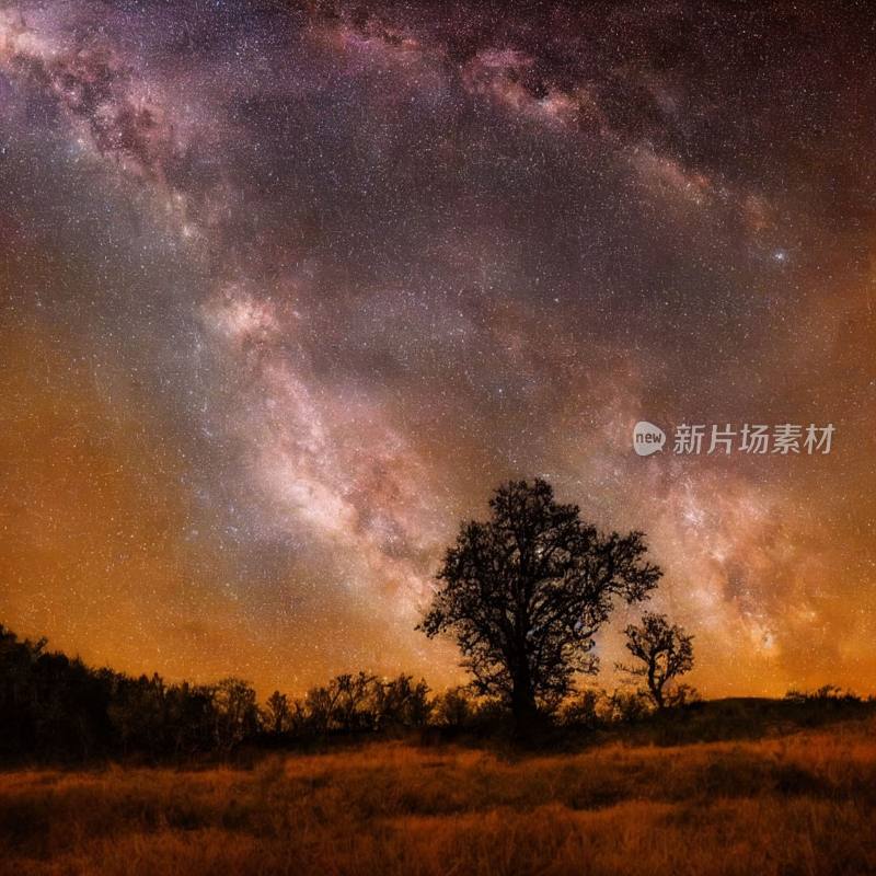 银河草原：繁星下的田野与树影