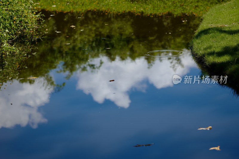 厦门园博苑的夏天