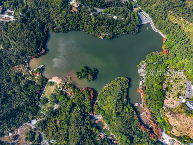 深圳仙湖植物园