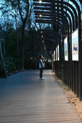 女子在户外长廊观看展示板