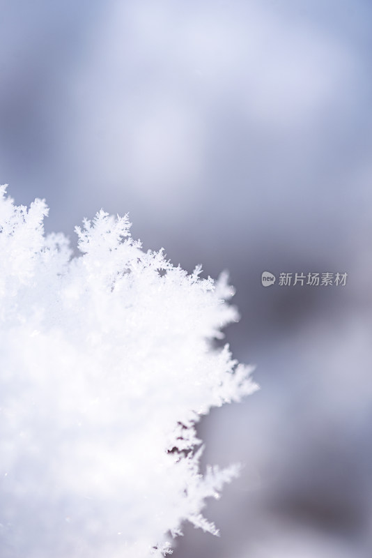 冬季室外冰晶雪花图片