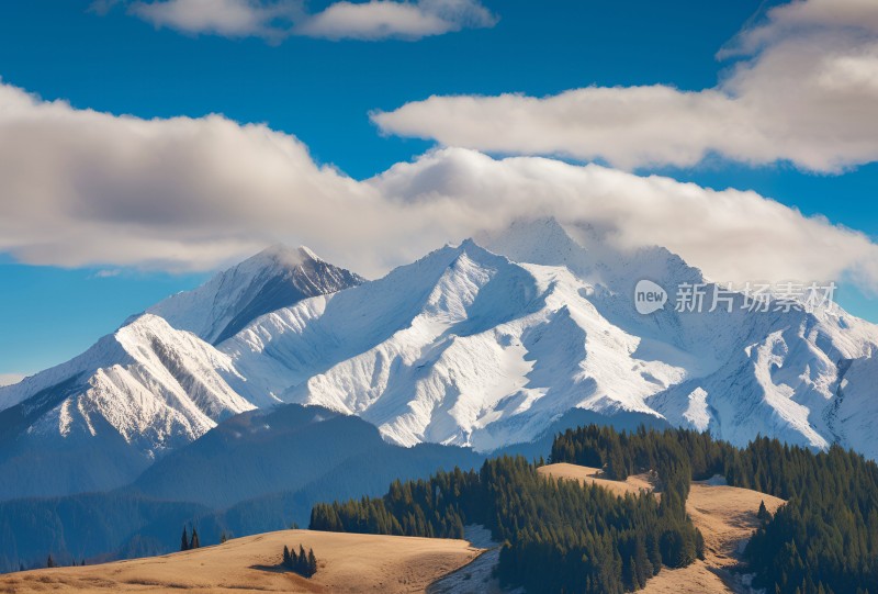 雪山高原草原森林风景