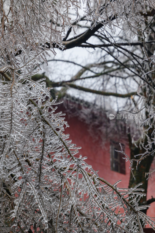 冰雪凝冻雾凇