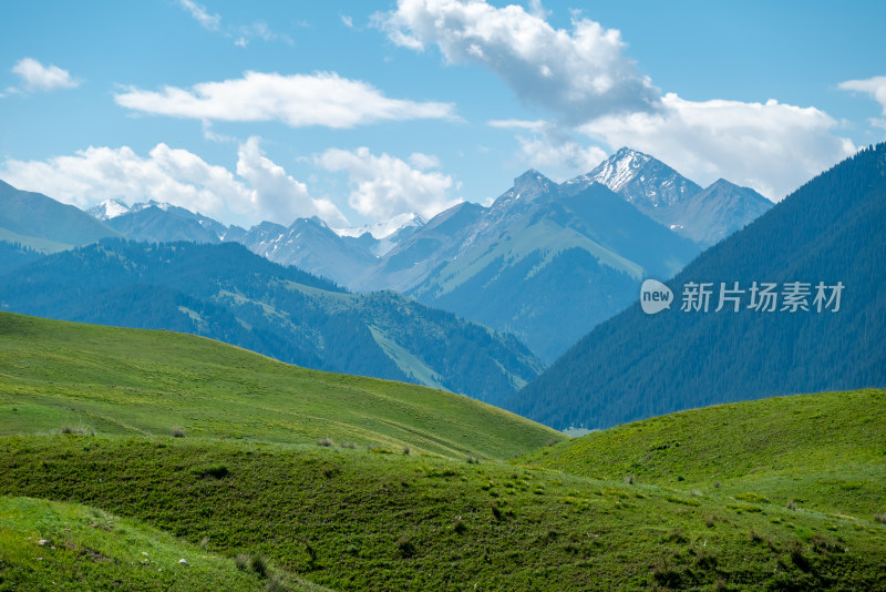 夏日，新疆喀拉峻大草原风光