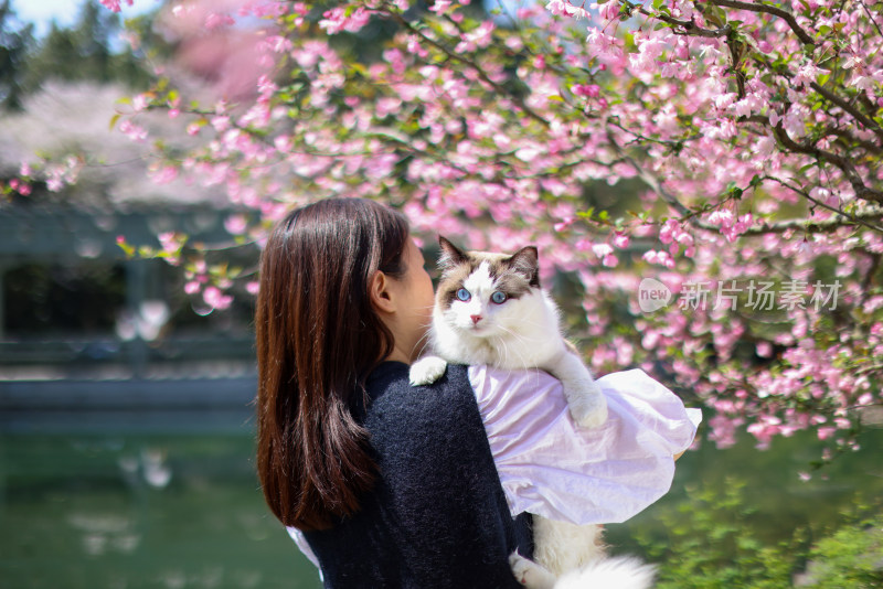 美女抱着宠物猫 春日赏花