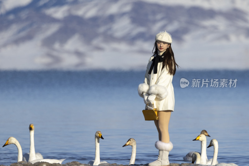 赛里木湖湖畔女子与天鹅的冬日场景