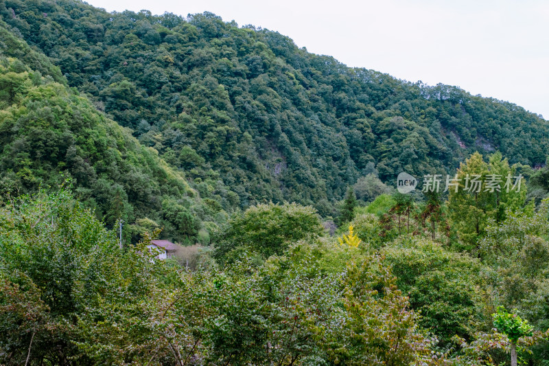 汉中留坝火烧店镇秦岭深处的山中云雾风光