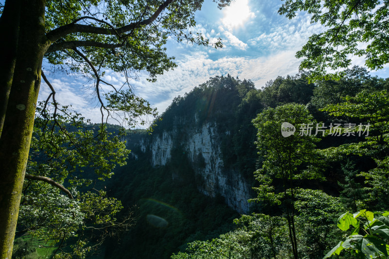 蓝天白云下的大山峡谷