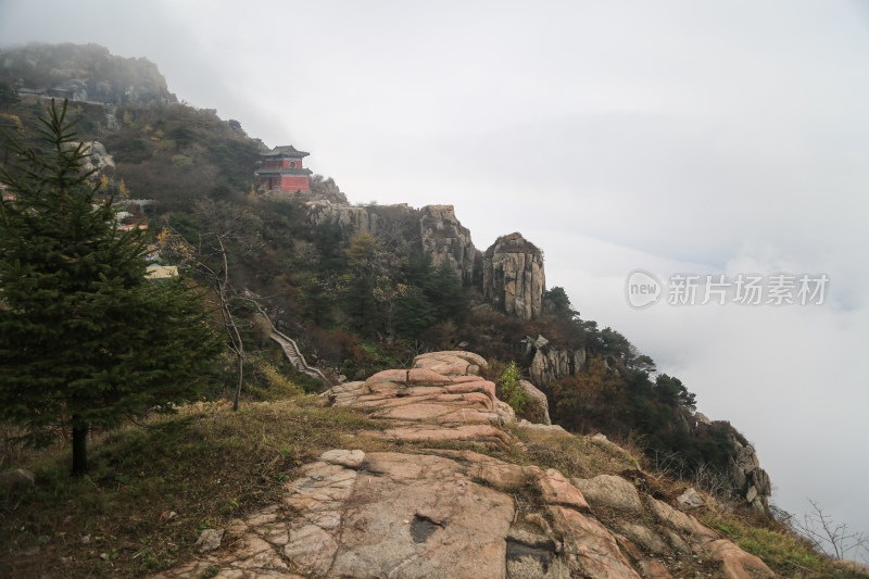 美丽泰山山景