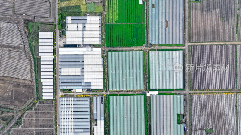 航拍农业大棚基地 农业产业乡村振兴