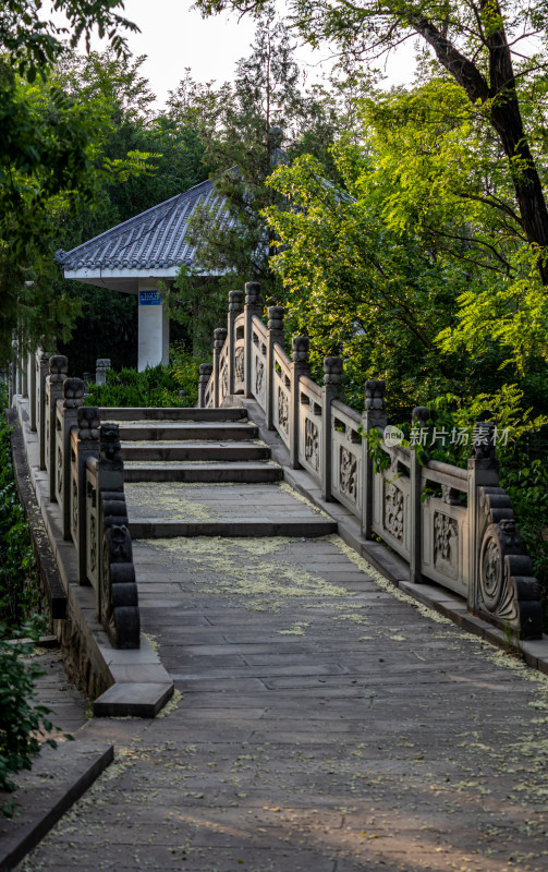 陕西延安凤凰山黄昏景观