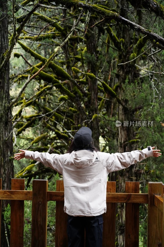 四姑娘雪山旅游的人