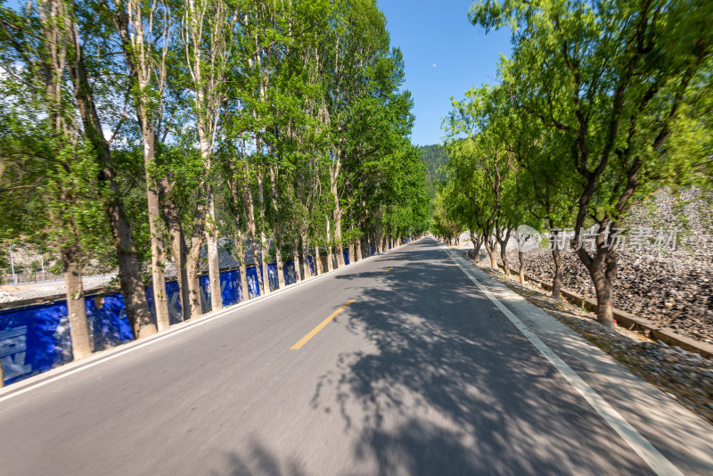 树林里的公路