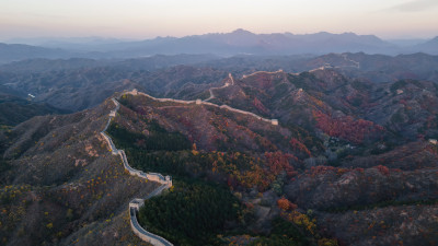 河北金山岭万里长城雄伟的长城秋景秋季航拍