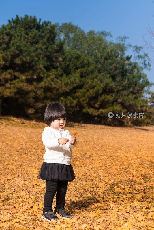 深秋在公园落满黄叶的草地上玩耍的女孩