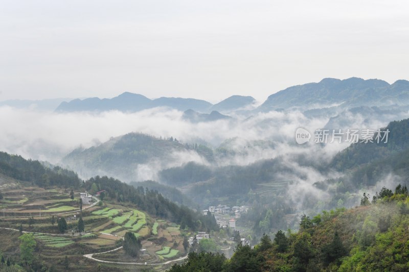 重庆酉阳：青山雾漫别样美