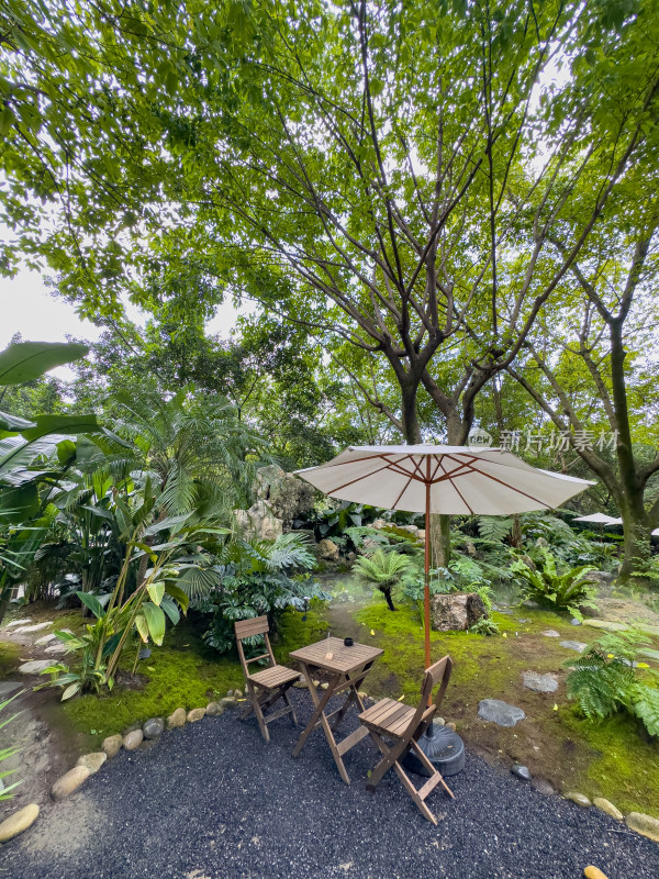 餐厅里的绿色庭院