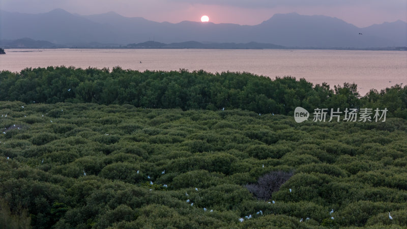 惠东县盐洲海洋湿地公园