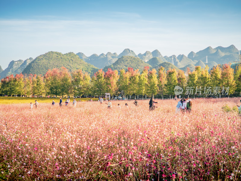 兴义市贵州醇景区