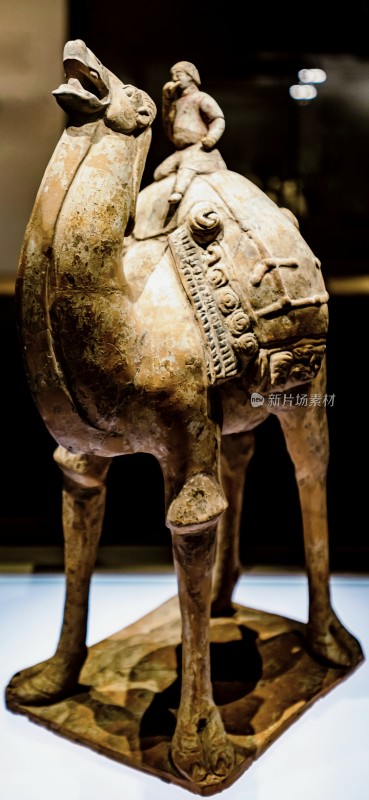 山西博物院古代骑骆驼陶俑特写