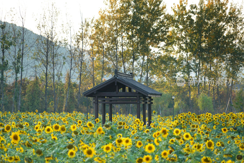 杭州市西湖区双浦镇灵山景区 (3)