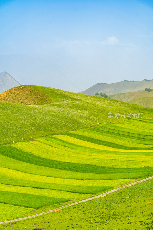 青海祁连县卓尔山景区，夏季起伏的高山牧场