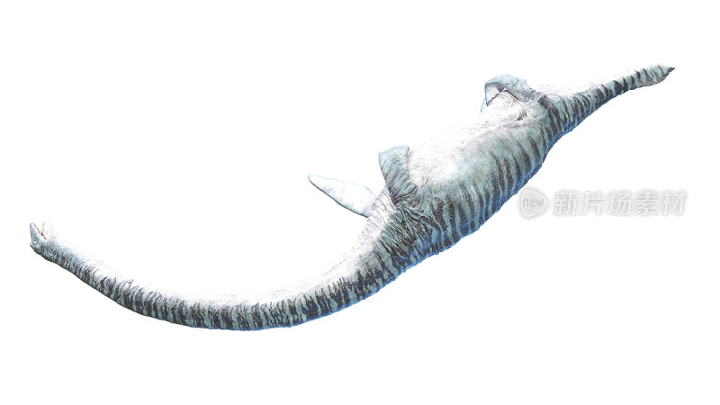 长颈龙远古恐龙 侏罗纪白垩纪三叠纪