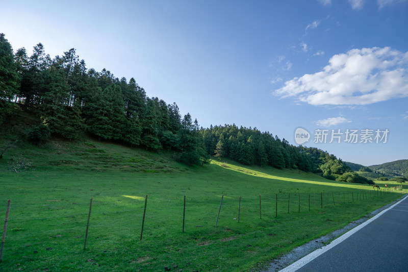 重庆市武隆区仙女山国家森林公园